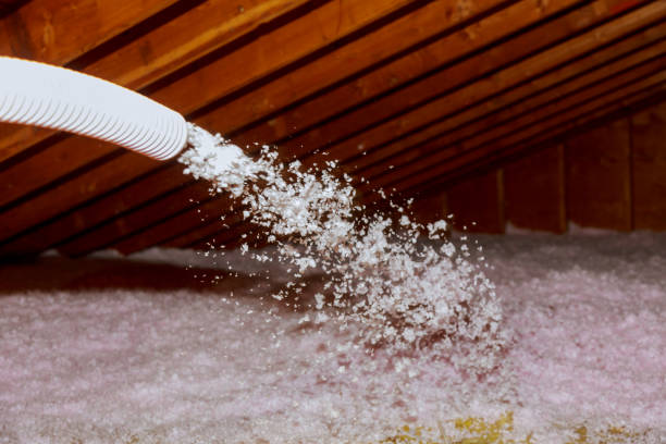 Best Insulation Air Sealing  in Evart, MI